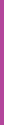 Medium Short Violet Line