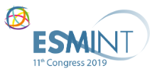 ESMINT 2019